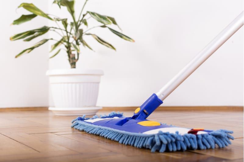 Floor Care Tips Cleaning